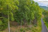 Lot 49 Wildcat Wilderness Parkway - Photo 11