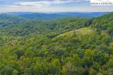 Lot 49 Wildcat Wilderness Parkway - Photo 15