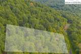 Lot 49 Wildcat Wilderness Parkway - Photo 17