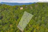 Lot 49 Wildcat Wilderness Parkway - Photo 19