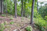 Lot 49 Wildcat Wilderness Parkway - Photo 2