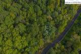 Lot 49 Wildcat Wilderness Parkway - Photo 23