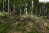Lot 49 Wildcat Wilderness Parkway - Photo 26