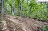 Lot 49 Wildcat Wilderness Parkway - Photo 4