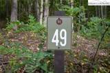 Lot 49 Wildcat Wilderness Parkway - Photo 9