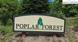 TBD (Lot 9) Poplar Forest Drive - Photo 23