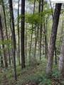 Lot 73 Tbd Poplar Trail - Photo 2