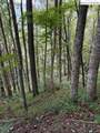 Lot 73 Tbd Poplar Trail - Photo 3