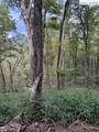 Lot 74a Tbd Poplar Trail - Photo 4