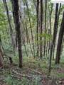 Lot 74a Tbd Poplar Trail - Photo 5