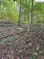 Lot 770 Tbd Ivy Court - Photo 6