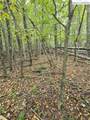 TBD Parsons Hill Road - Photo 4