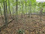 TBD Parsons Hill Road - Photo 5