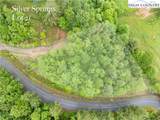 LOT 21 Silver Springs Drive - Photo 6