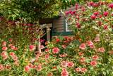 446 Peaceful Haven Drive - Photo 30