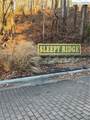 157 Wolf Trail - Photo 23