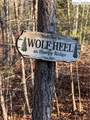 157 Wolf Trail - Photo 25