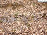 865 Armory Road - Photo 34