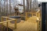 234 Wild Daisy Lane - Photo 35