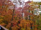 217 Rainbow Ridge Road - Photo 44