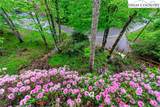 216 Lake (+ 2 Lots) Road - Photo 25