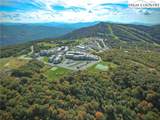 301 Pinnacle Inn Road - Photo 1