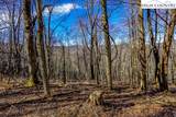 TBD Little Tree Lane - Photo 1