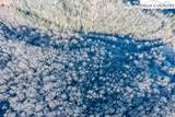 TBD Little Tree Lane - Photo 10