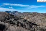 TBD Little Tree Lane - Photo 12