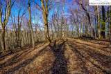 TBD Little Tree Lane - Photo 2