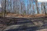 TBD Little Tree Lane - Photo 8