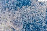 TBD Little Tree Lane - Photo 9