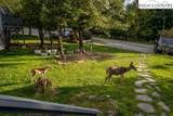 105 Pinnacle Ridge Road - Photo 30