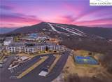 301 Pinnacle Inn Road - Photo 26
