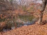 Lot 21 Happy Berry Drive - Photo 12