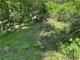 Lot 21 Happy Berry Drive - Photo 7