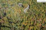 Lot 39 TBD Pine Cove Road - Photo 10