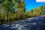 Lot 39 TBD Pine Cove Road - Photo 3