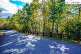 Lot 39 TBD Pine Cove Road - Photo 5