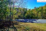 Lot 39 TBD Pine Cove Road - Photo 8