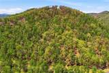 Lot 50 Wildcat Wilderness Reserve Parkway - Photo 10
