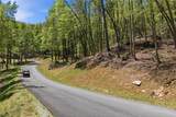 Lot 50 Wildcat Wilderness Reserve Parkway - Photo 2