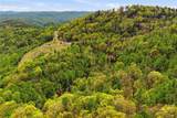 Lot 50 Wildcat Wilderness Reserve Parkway - Photo 8