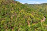 Lot 50 Wildcat Wilderness Reserve Parkway - Photo 9