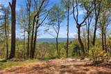 Lot 44 Wildcat Wilderness Parkway - Photo 1