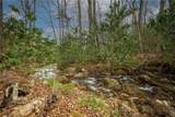 Lot 44 Wildcat Wilderness Parkway - Photo 21