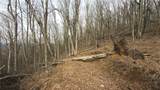000 Tater Hill Road - Photo 26