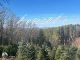 7889 Old Highway 16 - Photo 21