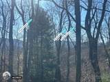 7889 Old Highway 16 - Photo 25