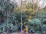 Lot 23 Highland Lakes Road - Photo 9